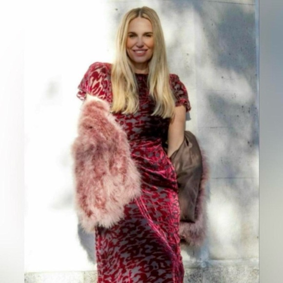 ZARA ~ DRAPED DRESS LIMITED EDITION SILK BLEND - Picture 3 of 12